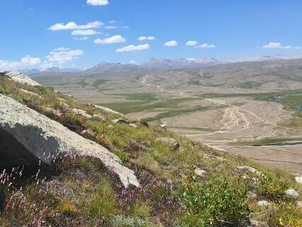 Sleep Aid Yoga Nidra