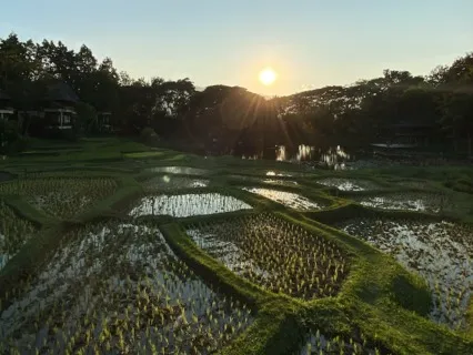 Deep Restful Awareness