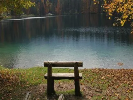 Deep Restorative Sleep | Binaural Beats For Deep Sleep