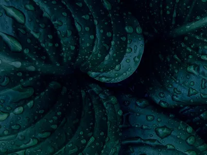 Deep Restorative Sleep,  Soft Rain & Delta Binaural Beats