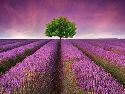 Deep Restoring Sleep (Old Version)