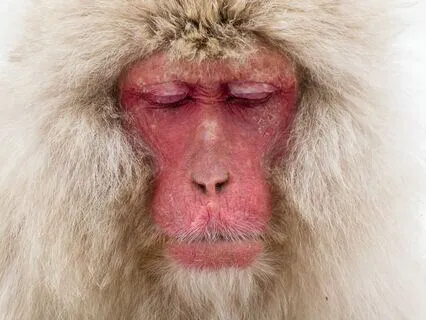 Deep Scan For Relaxation And Healing: Head And Neck