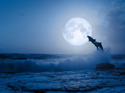 Deep Sea Fantasy: Sleep Story And Guided Meditation