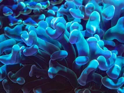 Deep Sea Sounds With Theta Waves