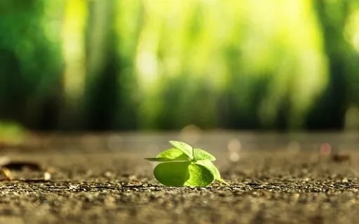 Deep Self-Confidence