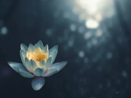 Deep Self Meditation