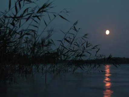 Deep Sleep - 2 Hour Healing Soundscape for Rest & Renewal