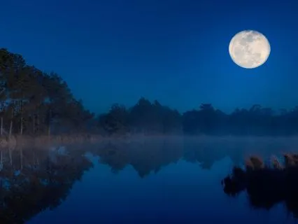 Deep Sleep 417 Hz + 432 Hz + 528 Hz Tuning Forks (Epsilon)