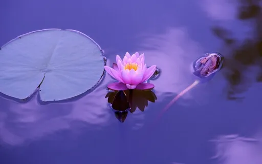 Deep Sleep 8 Hz Binaural Mindful Meditation