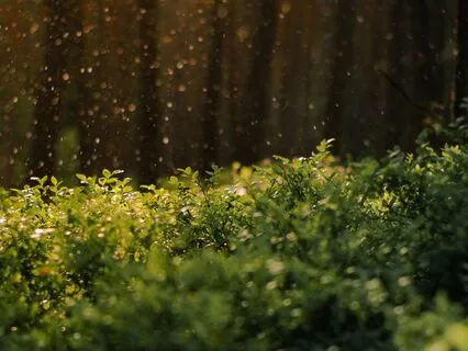 Deep Sleep - A Soundful Experience