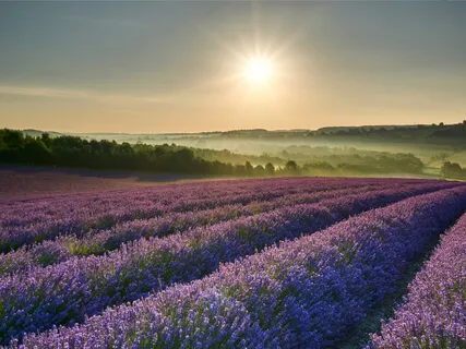 Deep Sleep - Abundance Start When You Give