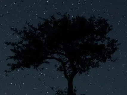 Deep Sleep Affirmations & Body Scan For Anxiety Relief