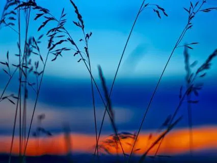 Deep Sleep Affirmations For Gratitude (All Night)