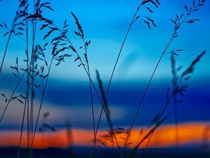 Deep Sleep Affirmations For Gratitude