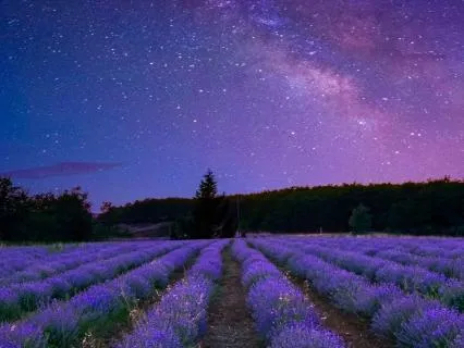 Deep Sleep Affirmations For Self-Worth