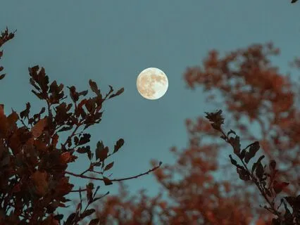 Deep Sleep Affirmations: Self-Compassion & Self-Love