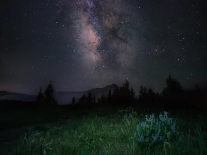 Deep Sleep Alpine Meadow Nidra