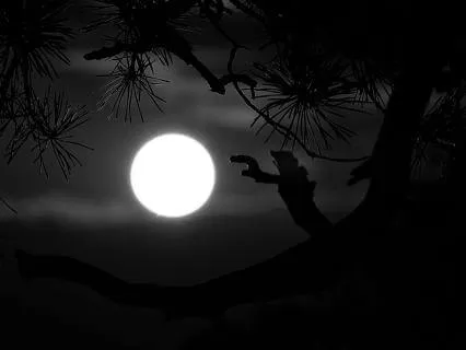 Deep Sleep Ambient Music A=432hz - 6hz To 0.1hz Pulse