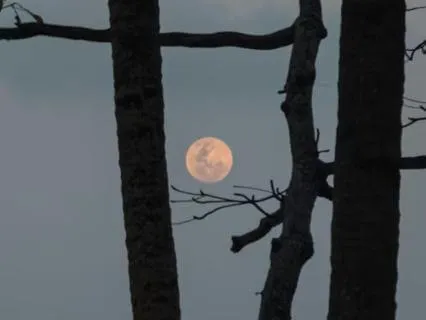 Deep Sleep Ambient: One Hour Of Calm