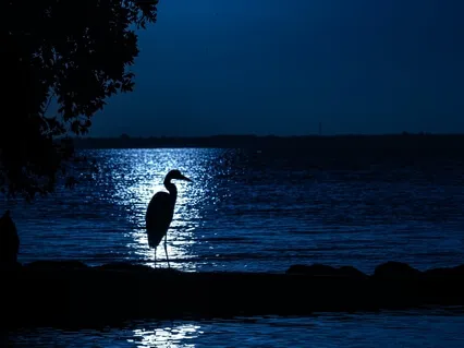 Deep Sleep & Body Relaxation