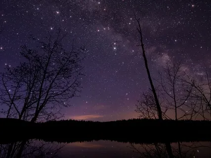 Deep Sleep & Cellular Healing