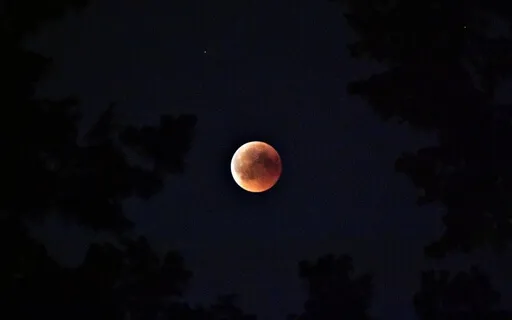 Deep Sleep & Endorphin Release