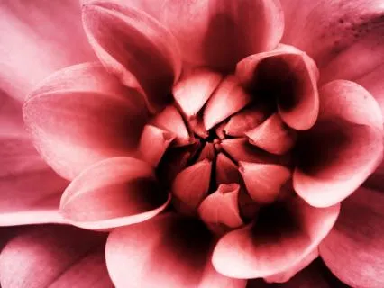 Deep Sleep And Meditation Music