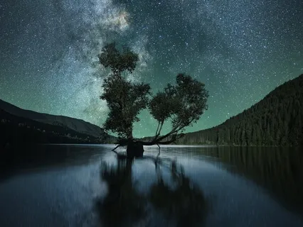 Deep Sleep Meditation To Raise Vibration (432hz Binural Music With Night Sounds)