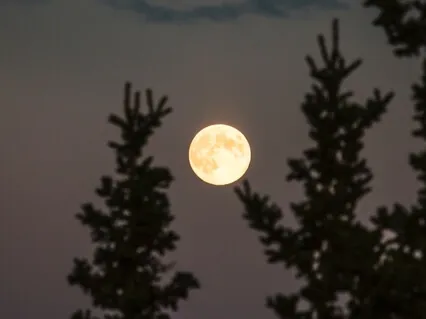 Deep Sleep At Mandala Springs