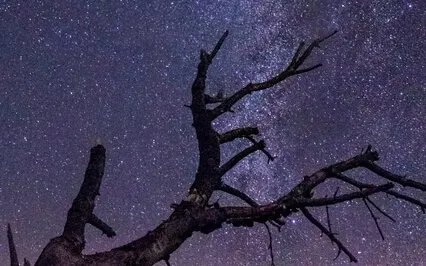 Deep Sleep, Aura Protection & Grounding