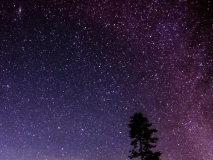 Deep Sleep - Beautiful Zen Music For Deep Sleep