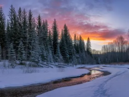 Deep Sleep Binaural Soundscape 3 Hz Delta