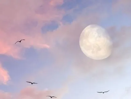 Deep Sleep Body Scan With Ocean Waves (9 Hours)