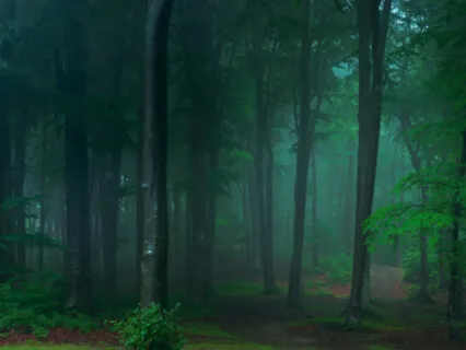 Deep Sleep - Bright Future