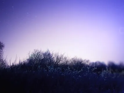 Deep Sleep - Calm Night