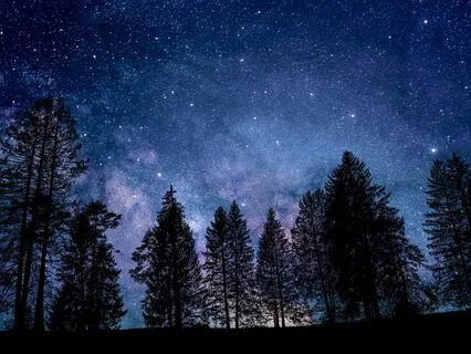 Deep Sleep - Calming Melodies