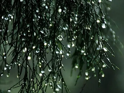 Deep Sleep Camping In The Rain