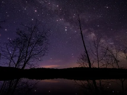 Deep Sleep, Cell Purification