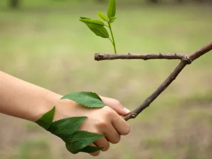 Deep Sleep - Clear Harmony & Peace