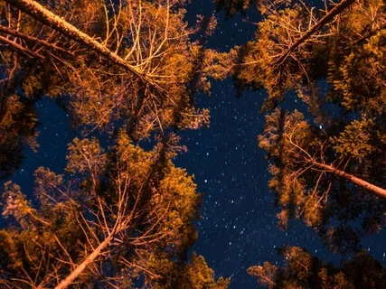 Deep Sleep - Clear Your Mind