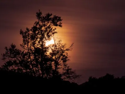 Deep Sleep - Deep Sleep Cleanse