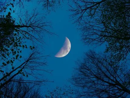 Deep Sleep - Dreamer's Delight