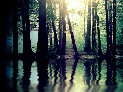 Deep Sleep - Eczema Relief  