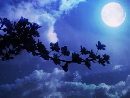 Deep Sleep - "Embrace Yourself"