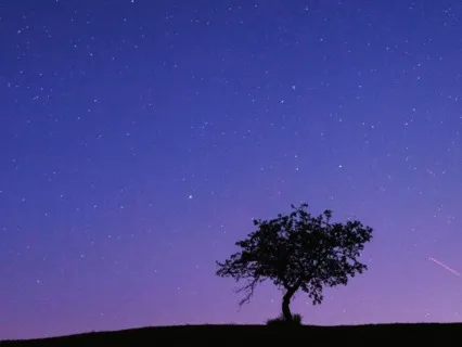 Deep Sleep - Enchanted Sleep Music 