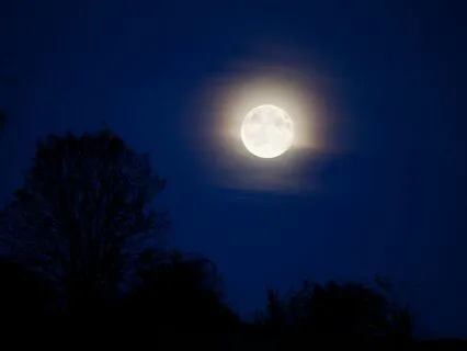 Deep Sleep - Enchanting Dreams
