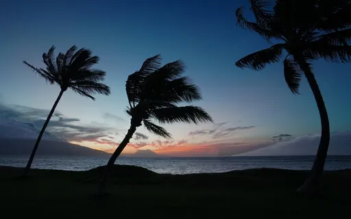 Deep Sleep Fast 2Hz Sweetest Dreams