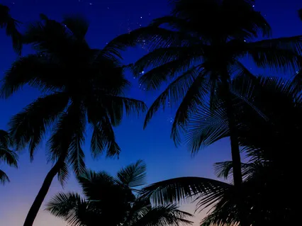 Deep Sleep Fast 432Hz Delta Slumber Storm