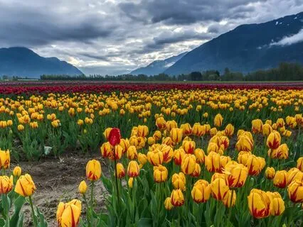 Deep Sleep Fast: Delta Binaural 4 Hz Meditation Music