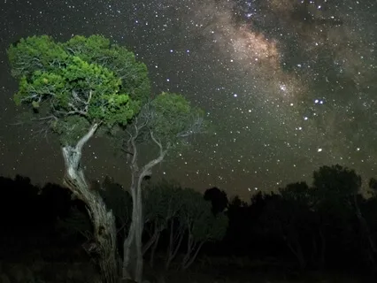 Deep Sleep - Fatigue Relief Music